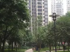 鱼洞 南城国际三房54万