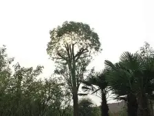 夷陵万达旁山水国际毛坯大四房急售