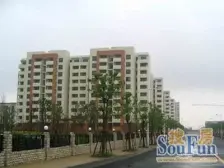 得房率85,满五且V一,客厅带阳台户型南北通