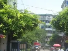 朝南标间,采光好,电梯双气,满五唯一税费少诚心卖