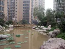 满五唯一 采光好 精装修双地铁