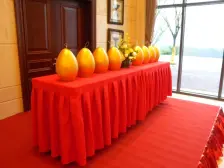 龙湖紫云台四组团 6室2厅 东 西