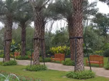 此房满两年,全款证在手产权清晰,清水按照自己想法装