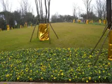 龙湖紫云台 联排别墅 小区中庭 带双车位