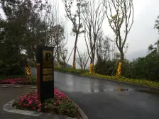 龙湖紫云台双拼别墅 无房产税 带车位花园空调