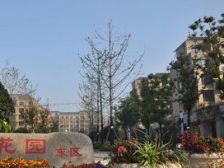 精装单价4800多每平的优质房源