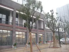 江北嘴精装一房住家舒适交通便利配套齐全