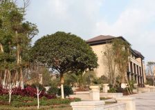 翡翠国际社区 2室2厅 南