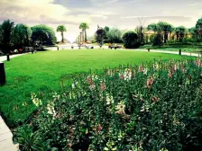 雅居乐国际花园一期 4室2厅 南 北