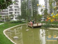 韩国城一期 1室1厅 南