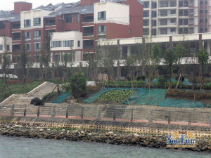 青城半岛3室1厅东南