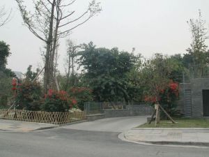 锦城世家5室2厅东南南