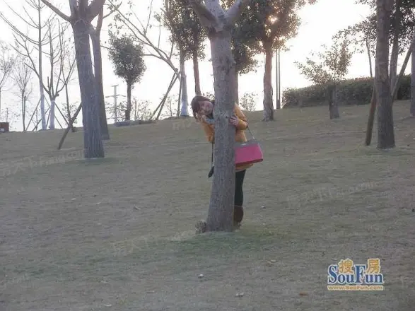 御景天下实景图