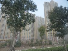 位置好户型棒,位置好价格也不错