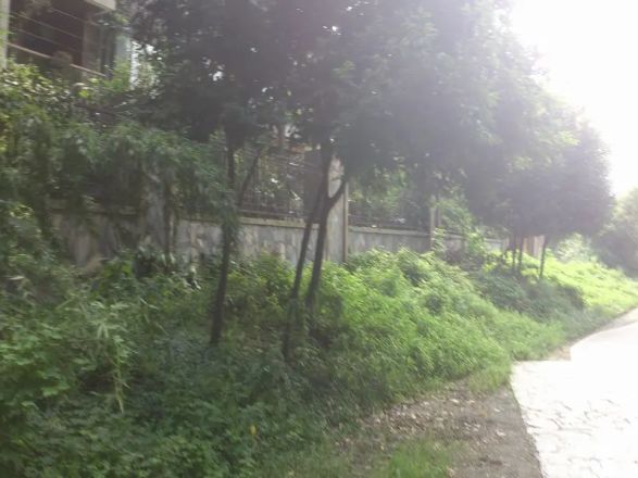 金沙大境湾别墅实景图