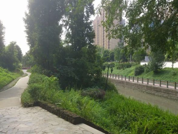 金沙大境湾别墅实景图