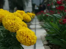 装修保养新的一房,买回来直接收租