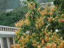 万科金域国际出行方便满五配套齐全高楼层视野好