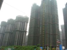 锦蓉佳苑 2室1厅 东南