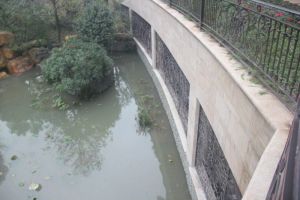 雅居乐铂雅苑7室2厅南
