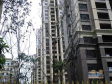 一环里别墅大边户花园巨大房主诚心出售