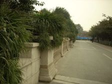 保利康桥 3室1厅 东