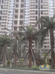 天府世家 3室1厅 南