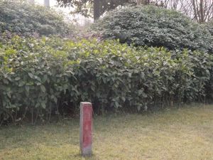 河畔新世界3室1厅西南