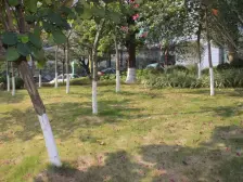 铂尔曼一房一厅,满五唯一,交通便利,诚心出售