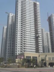房子是三期,5年可交易,城市位置优悦,毛坯。
