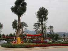 莲湖独栋别墅,格局好,位置佳,环境好,利用空间大