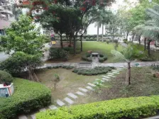 松柏独栋别墅,使用面积600平,有天有地