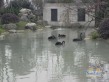 峨秀湖国际度假区实景图