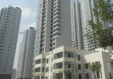 欣欣茗园