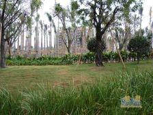 万达商圈 端头三房 高层 看江 视野开阔 满二年省税