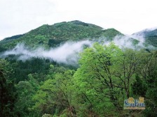 缙云山下 双拼别墅大花园 业主诚意出售 视野开阔