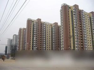 蜀麓苑 一室一厅 带阳台 不靠马路