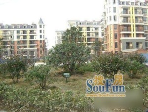 龙岗地铁口旁阳光棕榈园地铁三房