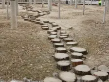 美女美林郡的家精装一居室小户型首付15% 月供1700/月