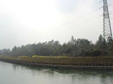 出行方便,小区环境好,户型方正,居住方便舒适