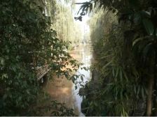 流水庭院两房,多层2楼,户型方正