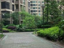 莱佛士 顶楼跃层 户型方正 领江房