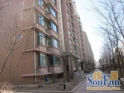  ������Ԣ����3��1��1���ϳ���1000.00Ԫ/�³��� 