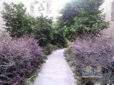 大户型跃层房东诚心出售会装电梯
