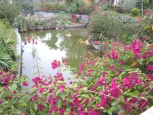 大城云山!朝南望花园,格局方正无死角,采光强!