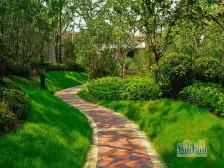 交通便利,环境优美,采光充足,得房率高