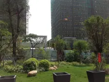 张槎TOD小区,保利物业,智诚。大面积南北四房