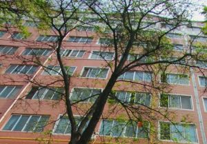 五里铺,三室,视野宽阔,采光充足,配套设施齐全