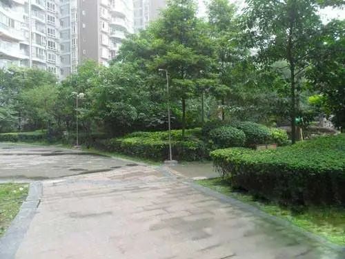 小区相关图