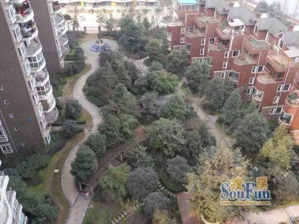 凌江峰阁实景图